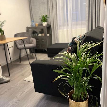 Musai Apartment Braşov Eksteriør billede