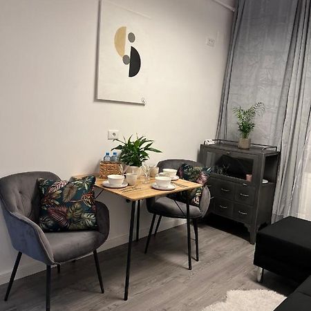 Musai Apartment Braşov Eksteriør billede