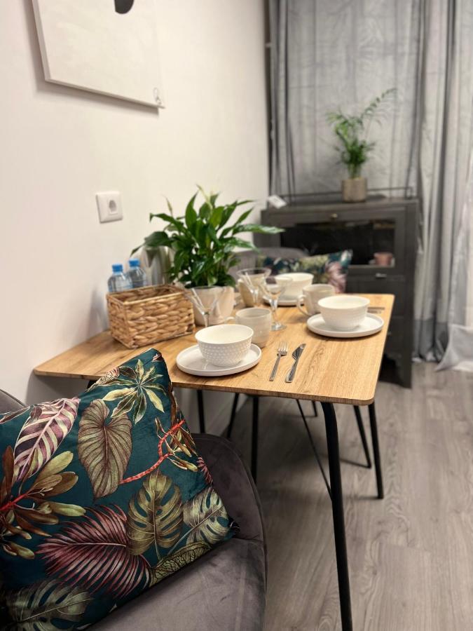 Musai Apartment Braşov Eksteriør billede