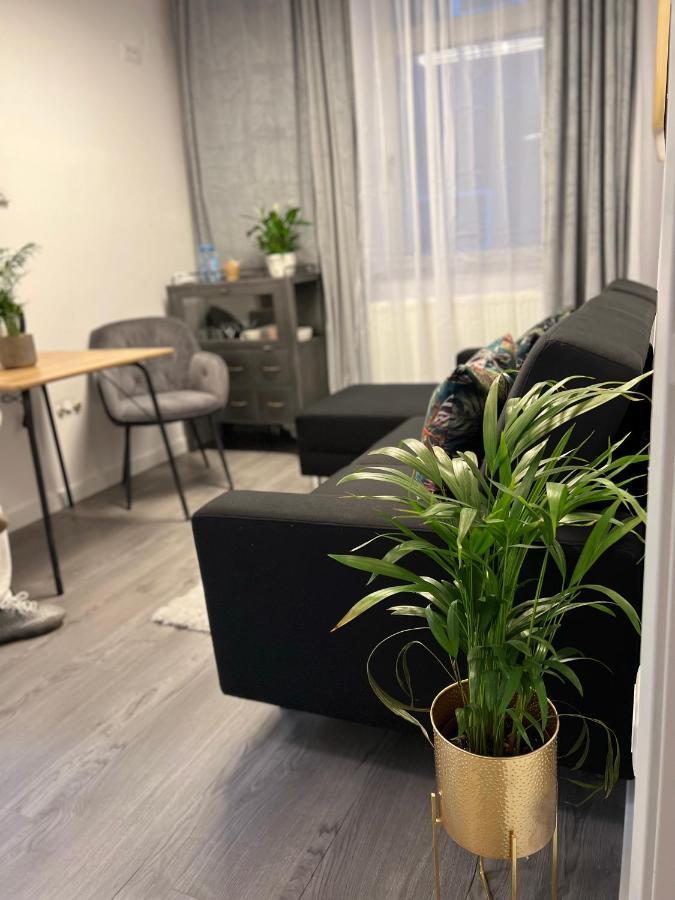 Musai Apartment Braşov Eksteriør billede